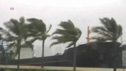 Cities Lead Fight Against Climate Change