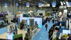 მარიხუანა ამერიკაში სულ უფრო და უფრო პოპულარული ხდება