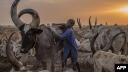 Les conflits tribaux connaissent une recrudescence au Soudan du fait du vide sécuritaire créé par le putsch d'octobre 2021 à Khartoum.