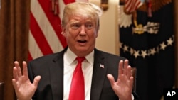 President Donald Trump gestures while speaking about tariffs, Jan. 24, 2019, in the Cabinet Room of the White House in Washington.