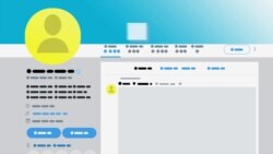 Explainer: What Is a Twitter Bot?