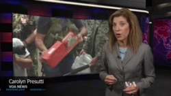 MH17's 'Black Boxes' Could Reveal Crash Details