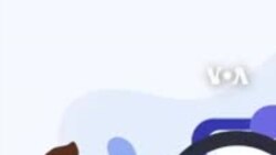 لیٹر آف ریکمنڈیشن کتنا ضروری ہے؟