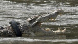 Personality ແມ່ນລັກສະນະທ່າທີຄວາມຮູ້ສຶກ ແລະການປະພຶດຈຳນວນນຶ່ງ ທີ່ເຮັດໃຫ້ຄົນແຕກຕ່າງ ຈາກກັນແລະກັນ