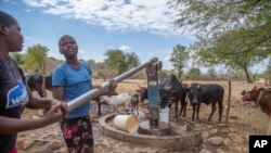 FILE - Villagers pump water at a borehole in Mudzi, Zimbabwe, July 2, 2024. Five countries — Lesotho, Malawi, Namibia, Zambia and Zimbabwe — have declared national disasters over the drought and resultant hunger. 