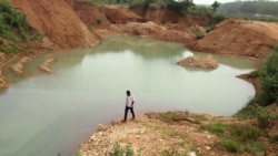 "Un diplômé, un champ": le pari de l'emploi des jeunes camerounais