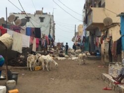 Unwilling to move far from the sea, fishermen and their families are living in tighter spaces as rising sea levels push them out