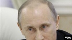 Perdana Menteri Rusia Vladimir Putin