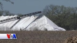 Freking nima ekanini bilasizmi?