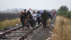Tensions Rise as Hungary Prepares to Bar Illegal Migrants
