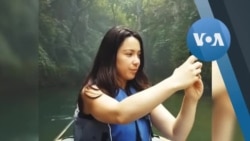 თბილისში ავსტრალიელი მასწავლებლის მკვლელი დააკავეს