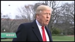VOA连线：川普感谢普京赞美，希望俄罗斯协助解决朝鲜问题