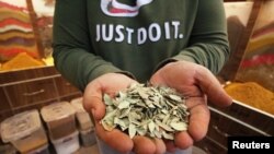 A man shows henna plants at his shop in Basra, Iraq March 9, 2019. Picture taken March 9, 2019. (REUTERS/Essam al-Sudani)