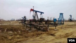 Bibiheybətdə nef mədəni 