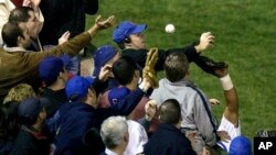 The Cubs announced Monday, July 31, 2017, they were giving a 2016 World Series championship ring to Bartman, the fan remembered for deflecting a foul ball that appeared destined to land in left fielder Moises Alou's glove with Chicago five outs from the W