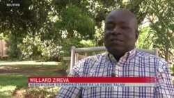 La culture des myrtilles en plein essor au Zimbabwe