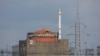 FILE PHOTO: A view of the Zaporizhzhia Nuclear Power Plant