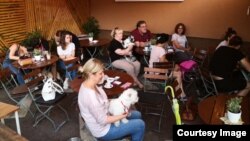 Predavanje Četiri šape - sve o psima