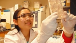 សារៈសំខាន់​នៃ​មីក្រូ​ជីវសាស្ត្រ​ក្នុង​ការ​ស្រាវជ្រាវ​ផ្នែក​សុខាភិបាល