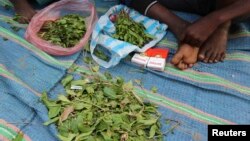 Ali Abdi, 14, and his friend Abdulahi Yaroow, 13, chew khat in Mogadishu. Grown on plantations in the highlands of Kenya and Ethiopia, tonnes of khat, or qat, dubbed "the flower of paradise" by its users, are flown daily into Mogadishu airport, to be distributed from there in convoys of lorries to markets across Somalia. 