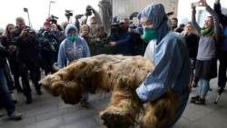 Quiz - Russia’s Permafrost Provides Buried Treasure