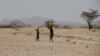 FILE - Turkana people carry water near Lodwar, in Turkana County, Kenya, Feb. 7, 2018. 