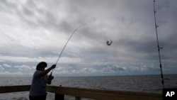 Tim Hitchens, of Gulfprort, Miss., pulls in a fish from a pier in the Gulf of Mexico, the morning after Tropical Storm Gordon made landfall nearby, in Biloxi, Miss., Wednesday, Sept. 5, 2018. (AP Photo/Gerald Herbert)
