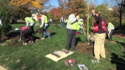 Foreign Diplomats Join Forces to Plant Trees in Washington