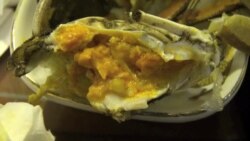 中国大陆和台湾合作养蟹