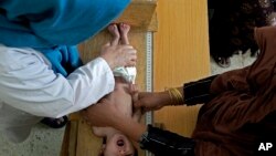 ملګري ملتونو اټکل کړی چې د ۲۰۲۵ کال د مې ترمیاشتې به په افغانستان کې پر سختې خوارځواکۍ باندې اخته شویو ماشومانو سمیر له ۸۶۷ زرو څخه واوړي. 