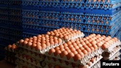 Telur-telur ayam siap dijual di pasar di kota Antwerpen, Belgia (foto: ilustrasi). Insektisida ditemukan dalam produk telur yang dikirim untuk digunakan di restoran dari Jerman, Belanda, Belgia dan Polandia.