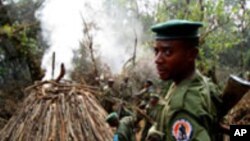 Un garde forestier à Virunga