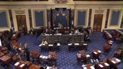 US Congressional Leaders Back Campaign Against IS