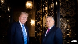 在这张由匈牙利总理办公室于2024年7月11日拍摄并发布的照片​​中，匈牙利总理维克托·奥尔班(右)与美国前总统唐纳德·特朗普在佛罗里达州棕榈滩海湖庄园的庄园合影。