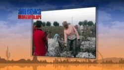 O'zbekistonda majburiy mehnat, paxta kampaniyasi - Jurnalist Dmitriy Tixonov bilan suhbat