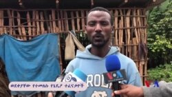 ወደቀያቸው የተመለሱ የጌዴዖ ተፈናቃዮች