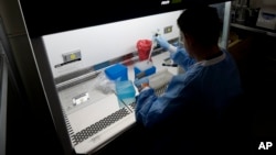 A medical researcher works on results of tests for various diseases, including Zika, at the Gorgas Memorial laboratory Panama City, Friday, Feb. 5, 2016. (AP Photo/Arnulfo Franco)