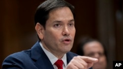 2025년 1월 15일 마르코 루비오 국무장관 지명자가 미국 상원의회 외교위원회에서 열린 국무장관 인사청문회 중 답변하고 있다.