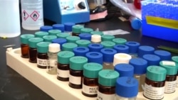 Customizable Vaccine Could Fight Numerous Diseases