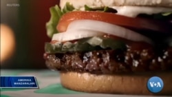 Go'shtsiz gamburger - yangi fast-fud