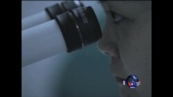 美丽又危险的基因梦