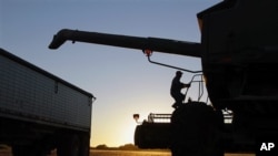 FILE - Central Illinois farmer Bob Hogan climbs back into his combine while harvesting soybeans in Pawnee, Illinois, Oct. 7, 2010.