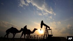 Seorang pengendara unta melintas melewati lapangan minyak di Sakhir, Bahrain, 20 Desember 2015.
