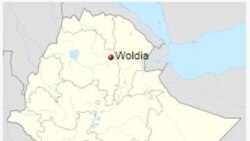 ኣብ ኢትዮጵያ ከተማ ወልዲያን ከባቢኡን ብዘሎ ኲናት ነበርቲ ካብ መንበሪኦም ይወጹ ምህላው ተገሊጹ