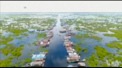 柬埔寨人主要蛋白质来源洞里萨湖鱼类濒危