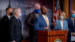 სენატორი ტიმ სკოტი კოლეგებთან ერთად,