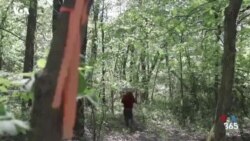 VOA Connect - خانواده‌های نیازمند، داوطلبان خدمت و فضای سبز