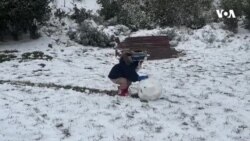 Bakıya yağan nadir qar əyləncə ilə bərabər nəqliyyat problemi yaratdı