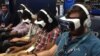 Virtual Reality at the Movies
