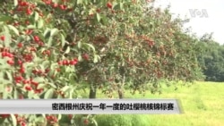 密西根州庆祝一年一度的吐樱桃核锦标赛